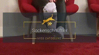 Sockenschnffler